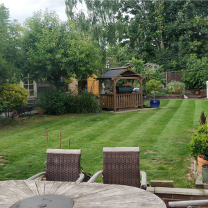 View Lawn & Turf Fertiliser
